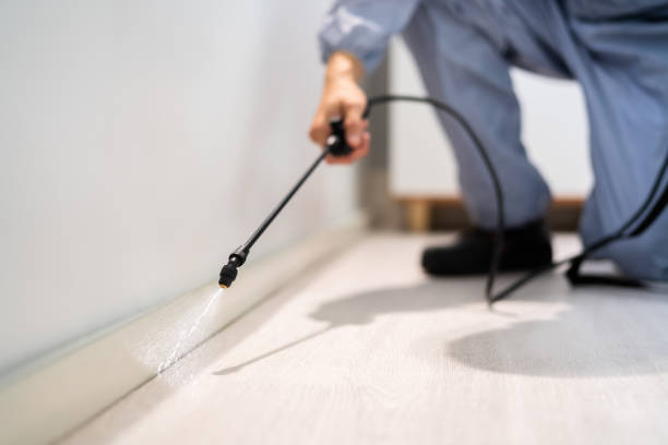 Professional exterminator conducting IPM assessment in El Dorado Hills